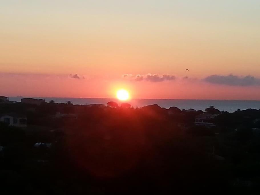 Sardegna Casa A 250 Metri Dal Mare Con Piscina Appartement Olbia Buitenkant foto